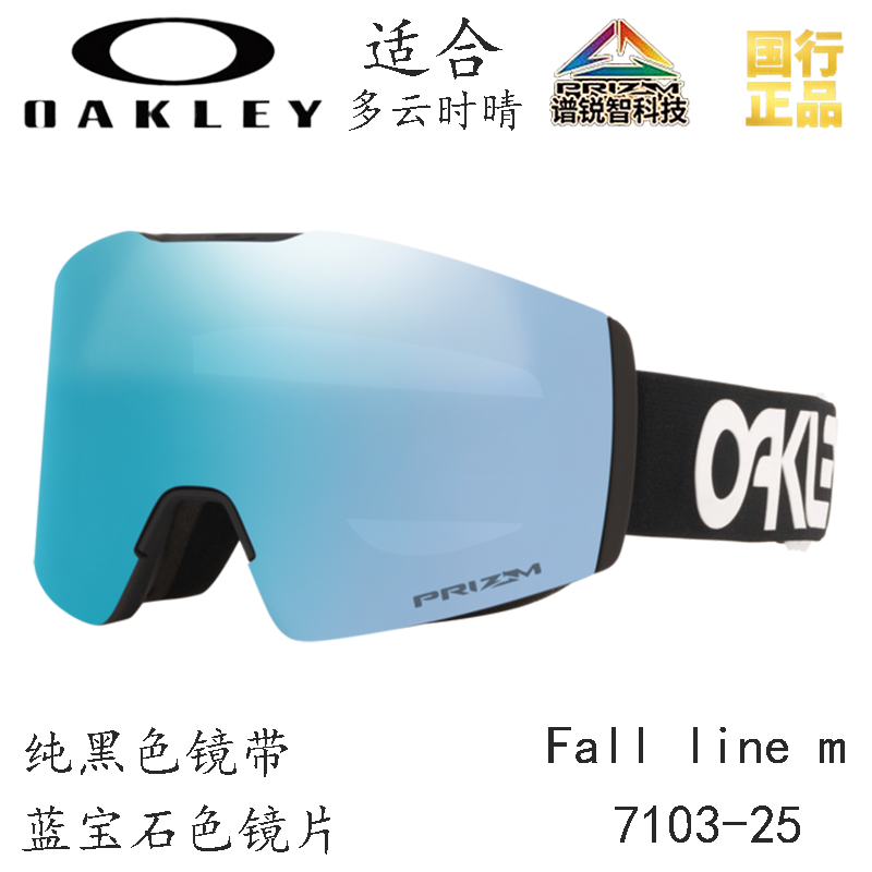 Горнолыжные очки Oakley (черный) — фото 138