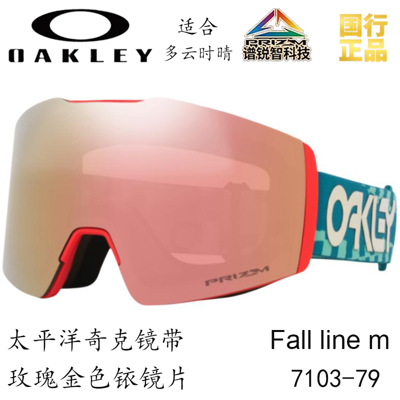 Горнолыжные очки Oakley (черный) — фото 33