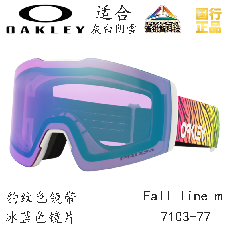 Горнолыжные очки Oakley (черный) — фото 62