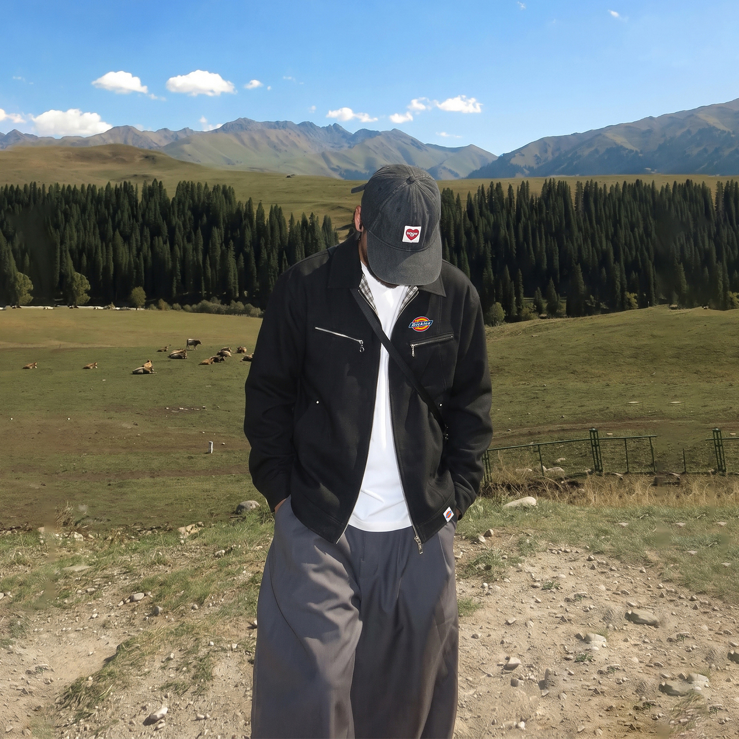 Куртка Dickies (бежевая) — фото 8