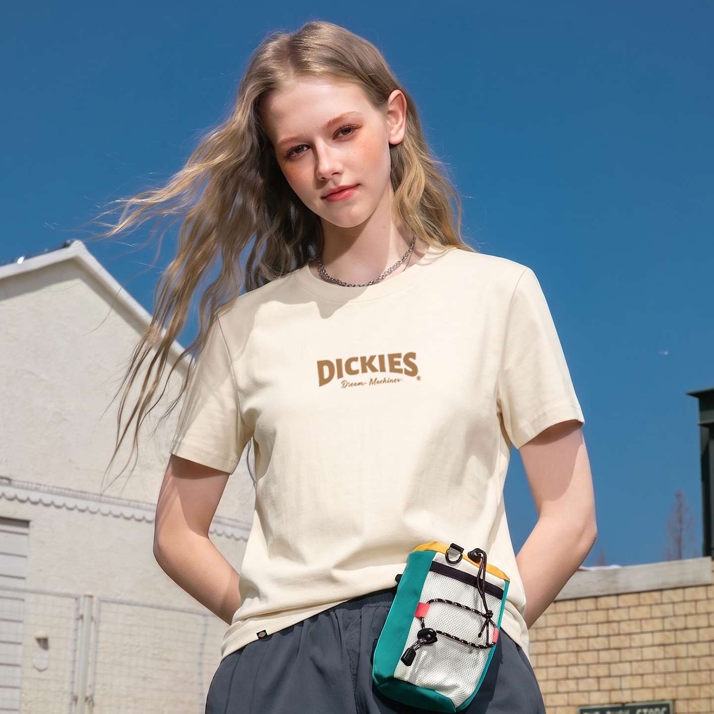 Женская футболка Dickies logo220G t (черный) — фото 28