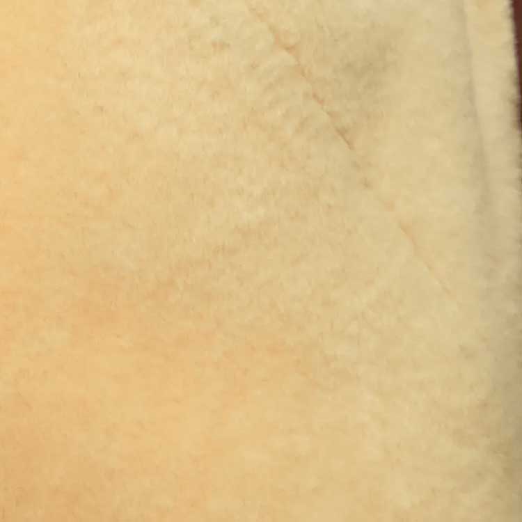 Photo 20511017