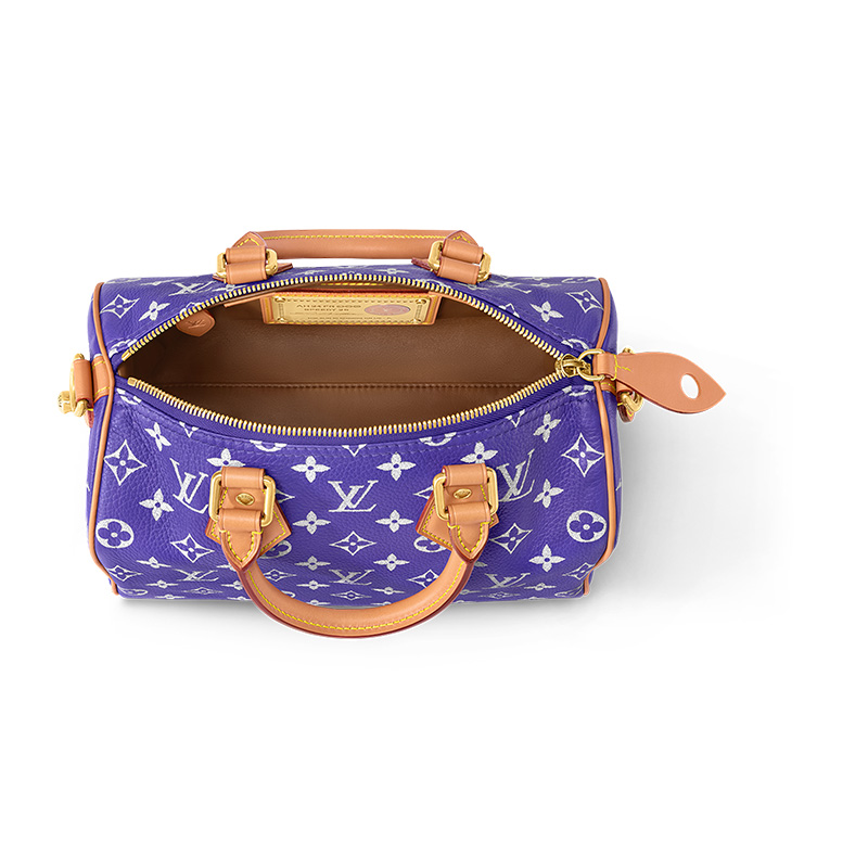 Сумка LOUIS VUITTON Speedy P9 Bandoulière 25 (коричневый) — фото 4