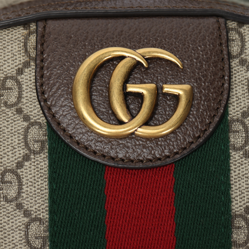 Рюкзак Gucci Ophidia Logo / (коричневый) — фото 5