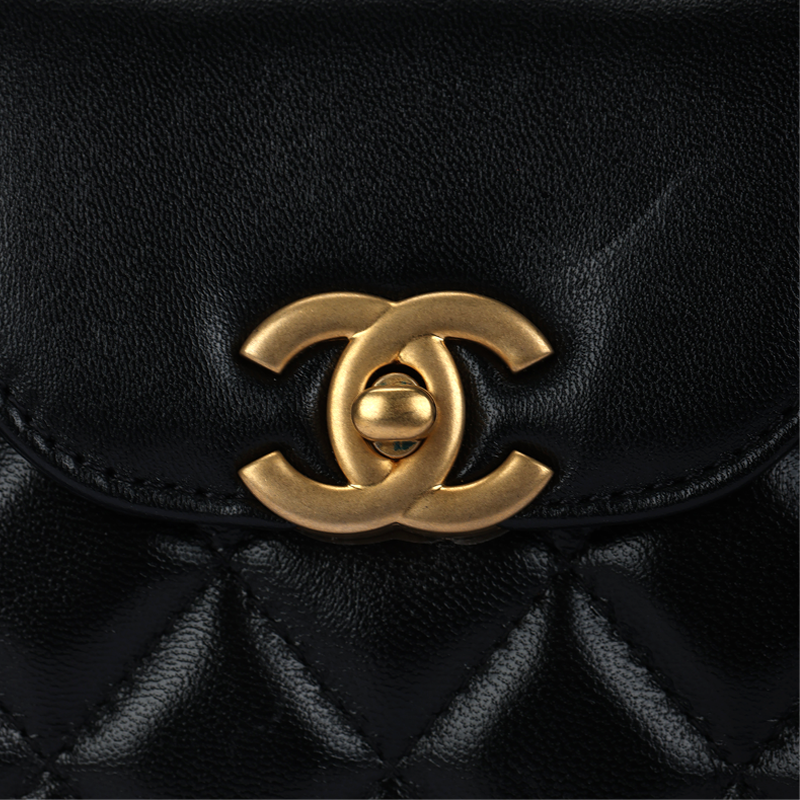 Женская сумка Chanel 25A 26S kelly NanoC Logo (черный) — фото 5