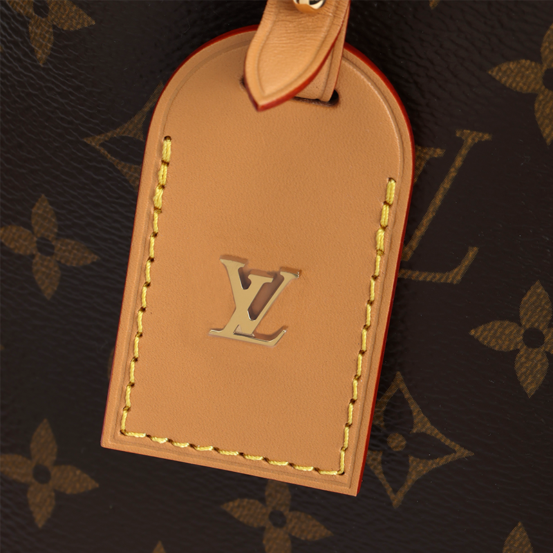 Женская сумка LOUIS VUITTON Carryall PM (коричневая) — фото 5
