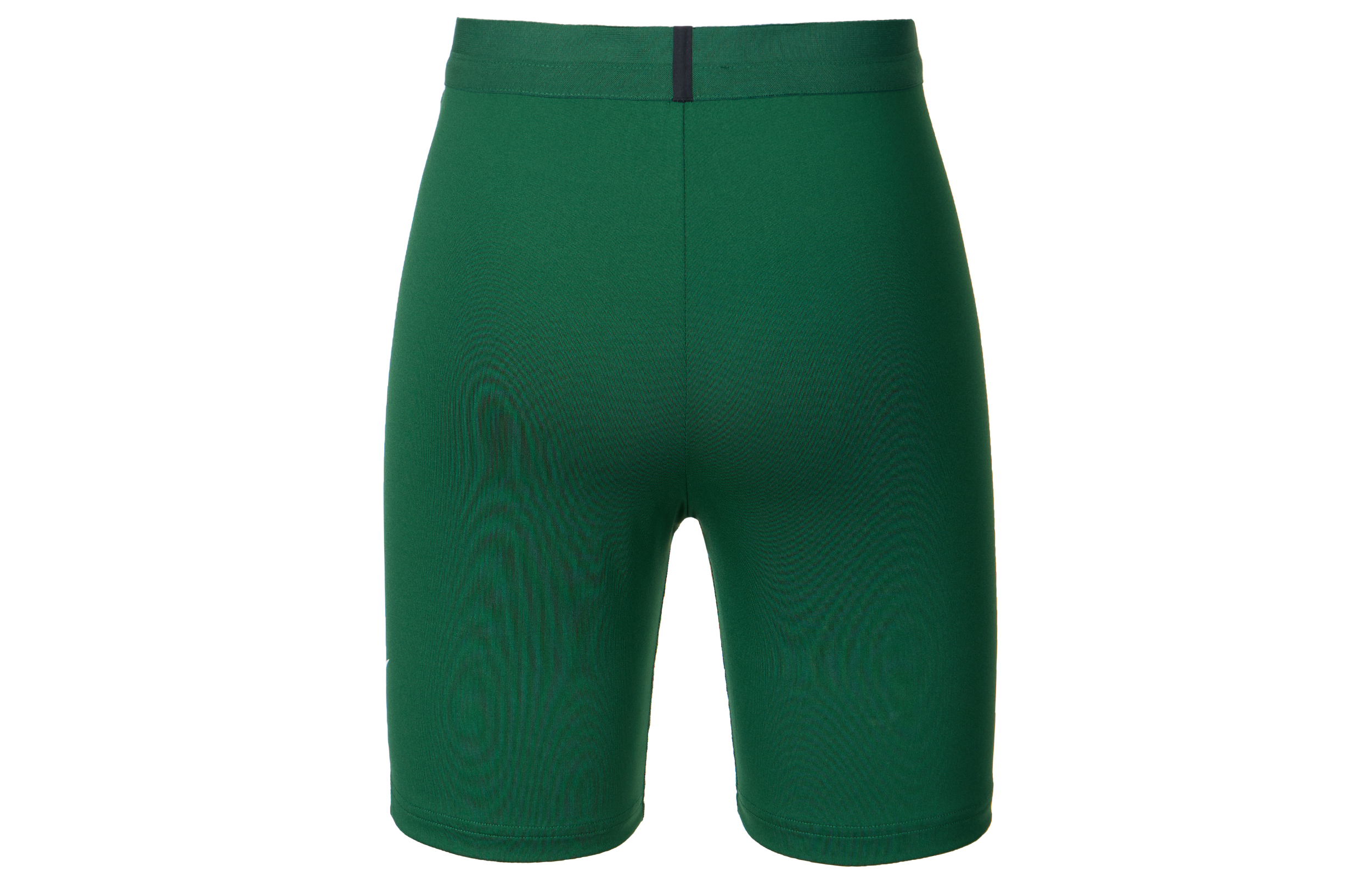 Nike Dri Fit Sports Shorts Women’s Canyon Green
