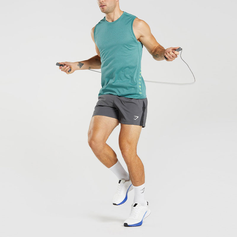 GYMSHARK SPORT 5′ SHORTS Sports Shorts Men’s Gray