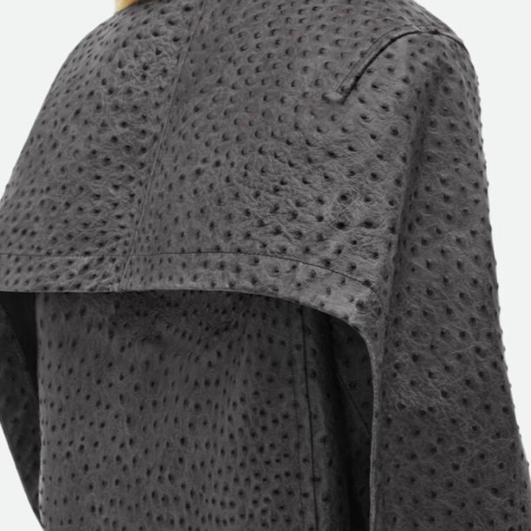 Photo 20779842