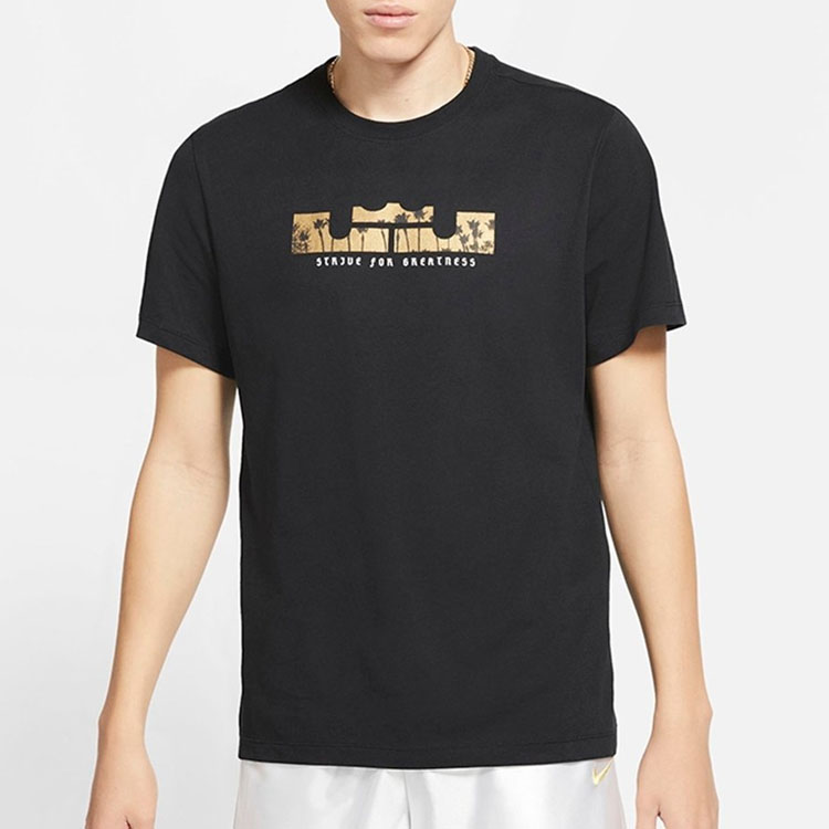 Мужская футболка Nike Dri-fit Lebron (черная) — фото 6