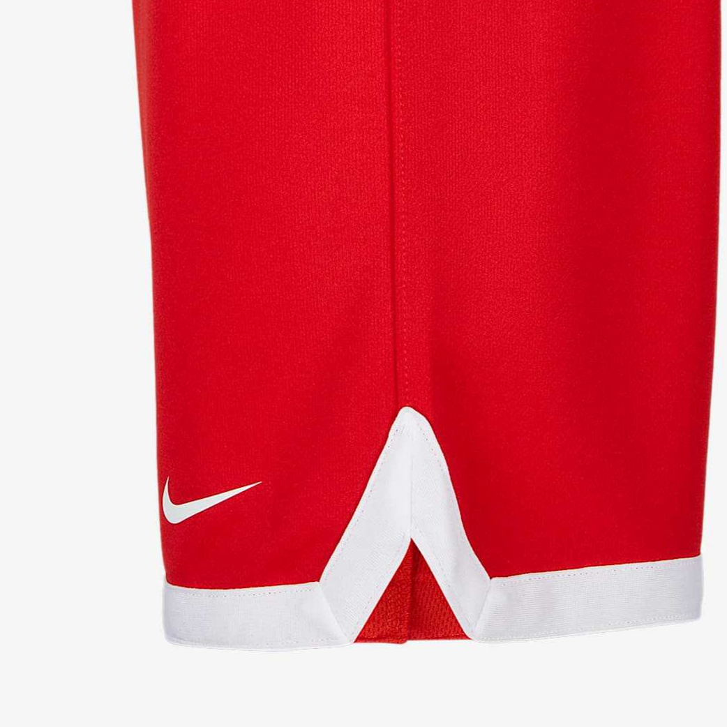 Мужские шорты Nike Dri-Fit (красный) — фото 4