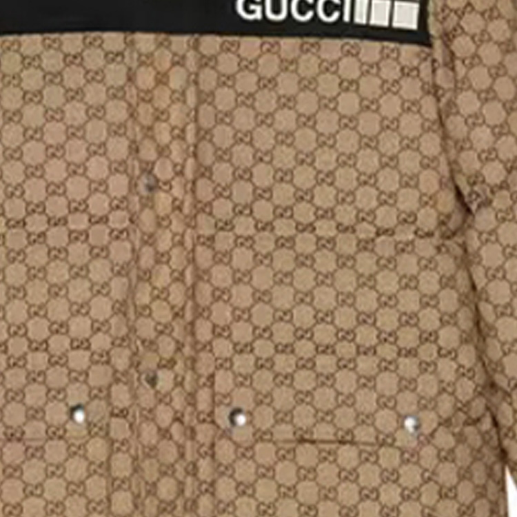 GUCCI x /THE NORTH FACE  FW21 GG   