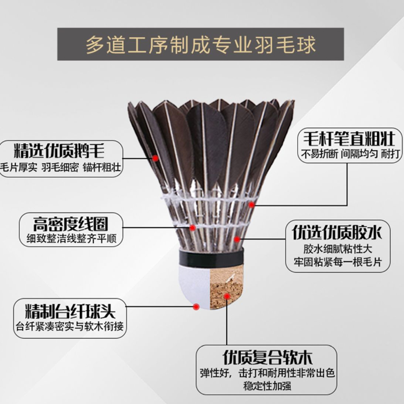 Li Ning Shuttlecocks