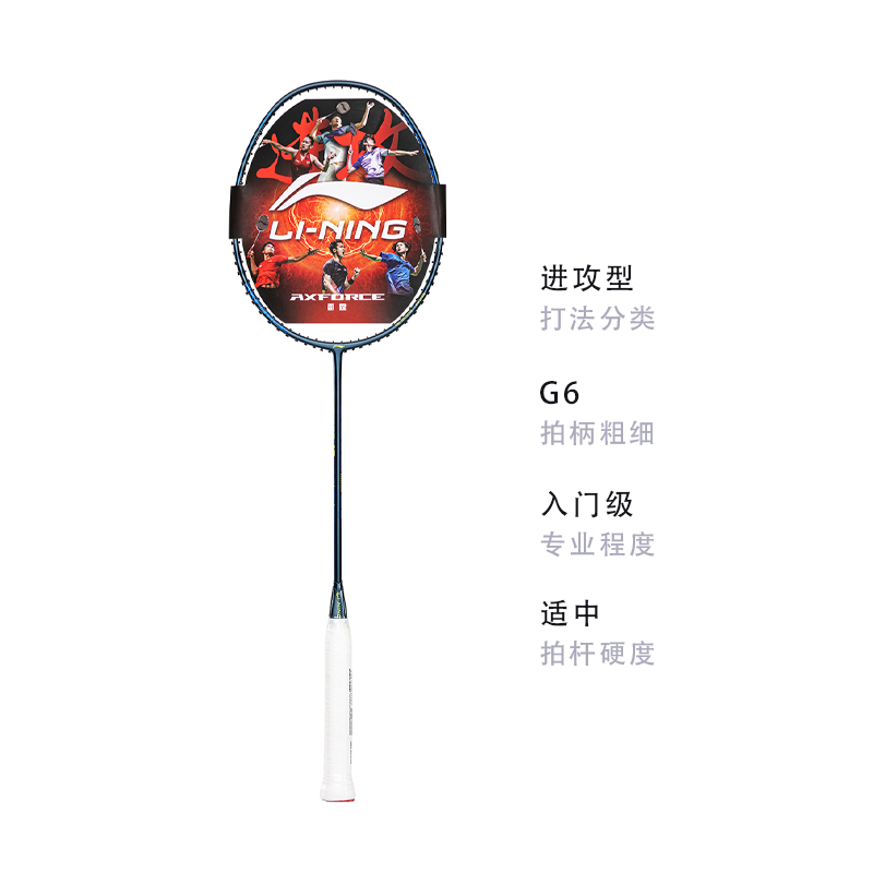 Li Ning Thunder 10 Full Carbon Badminton Rackets Offensive Type Heavy Head, Stiff Shaft Entry level 675MM