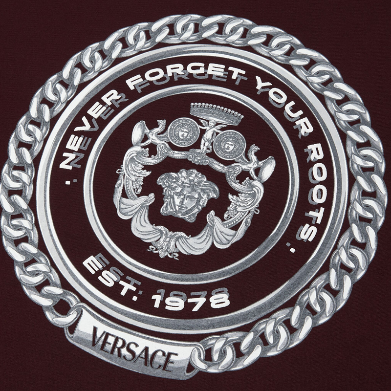 Мужская футболка Versace FW24 T (коричневая) — фото 7