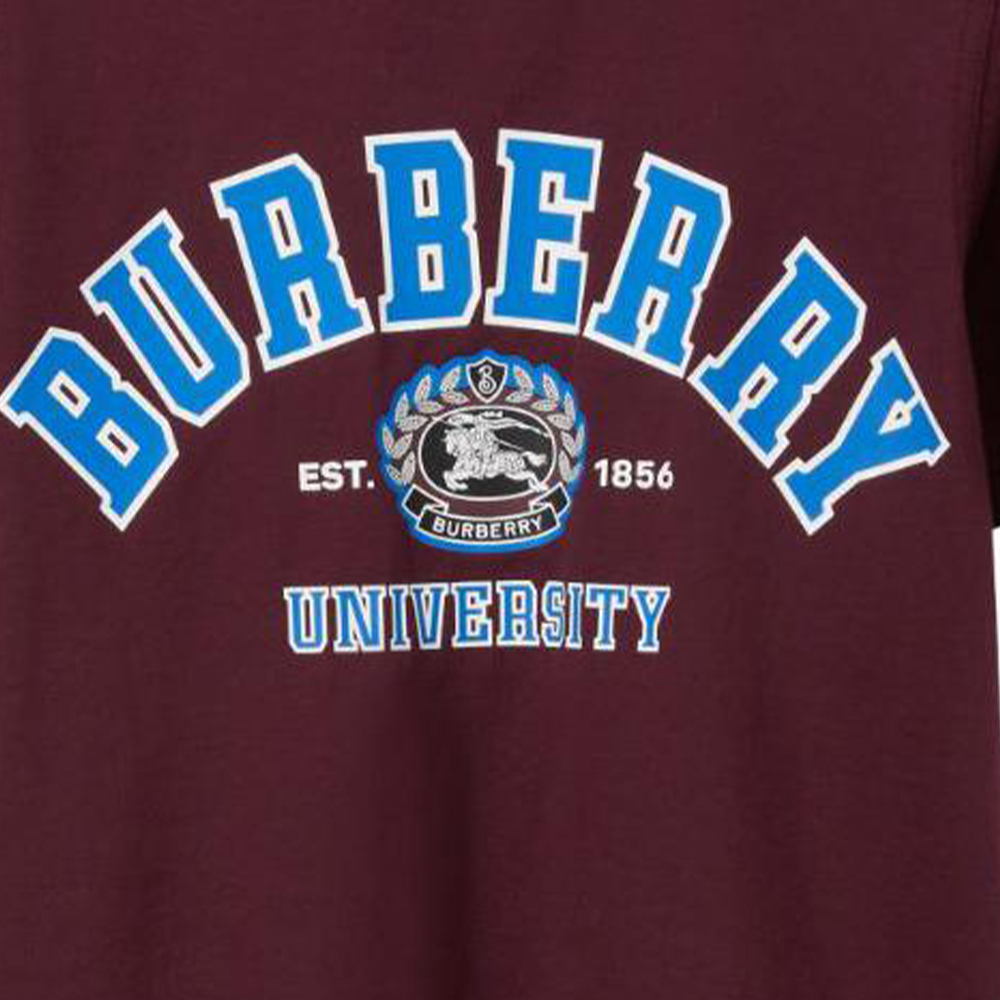 Футболка Burberry BurberryT SS23 (коричневая) — фото 5