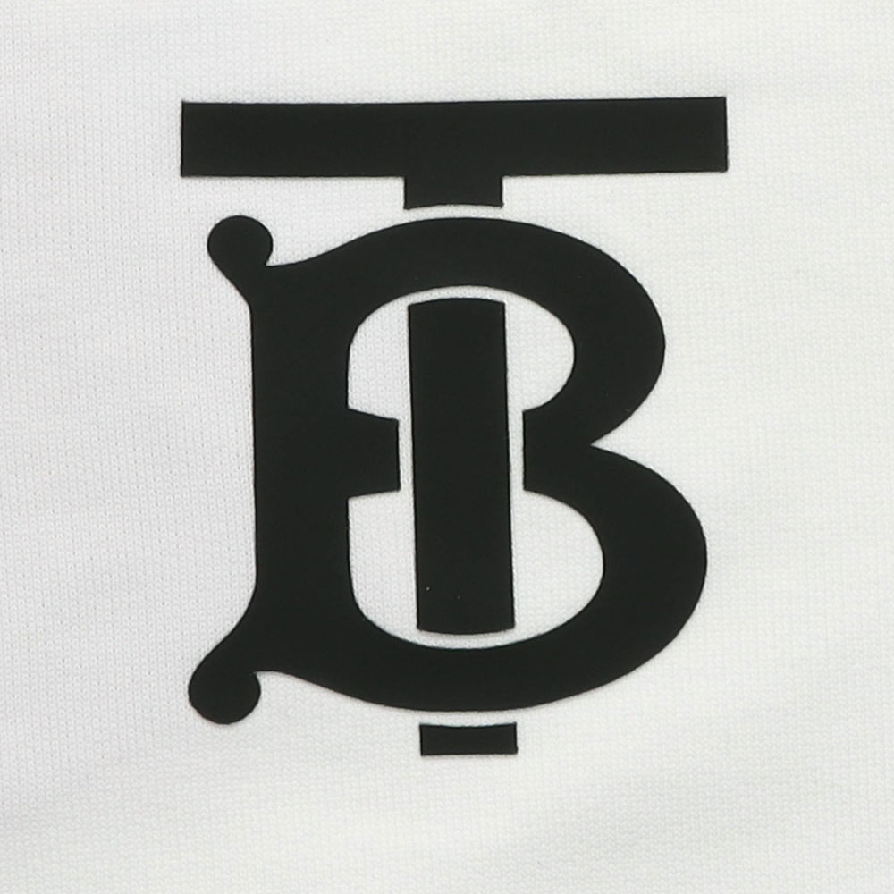 Мужское худи Burberry (белое) — фото 8