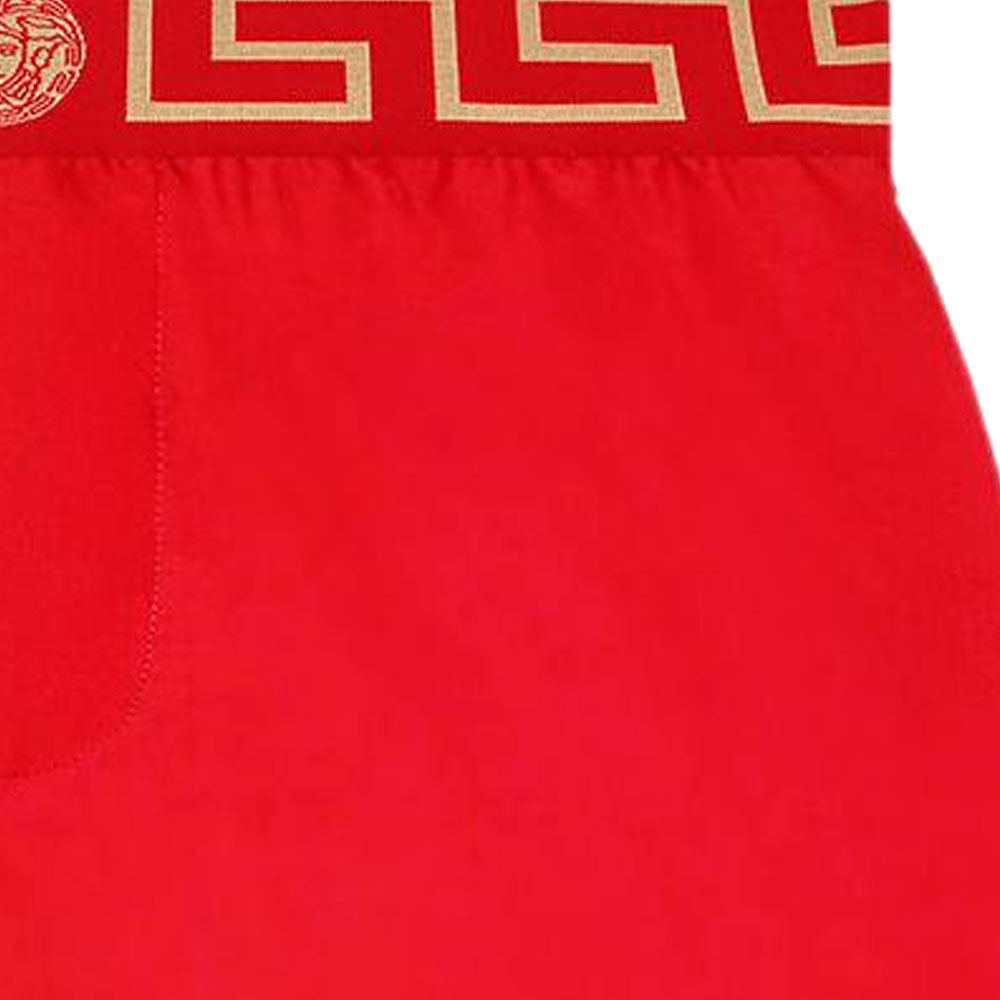 【Previous Season】Greca Border swim shorts