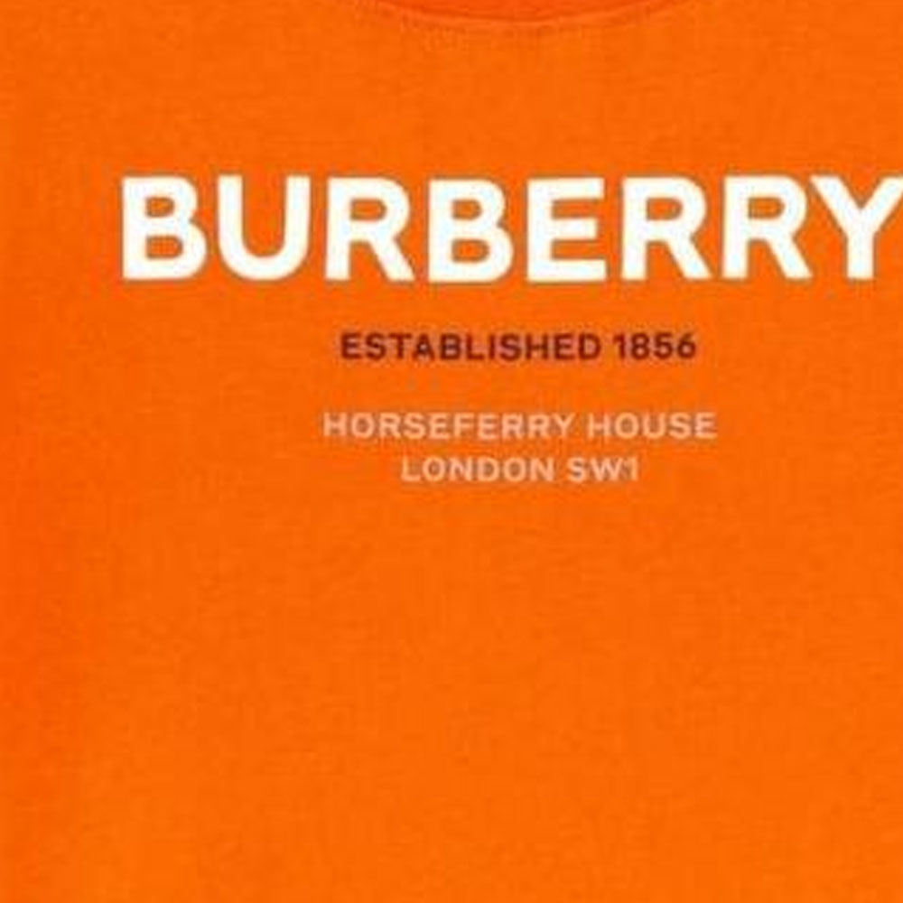 Детская футболка Burberry (белая) — фото 4
