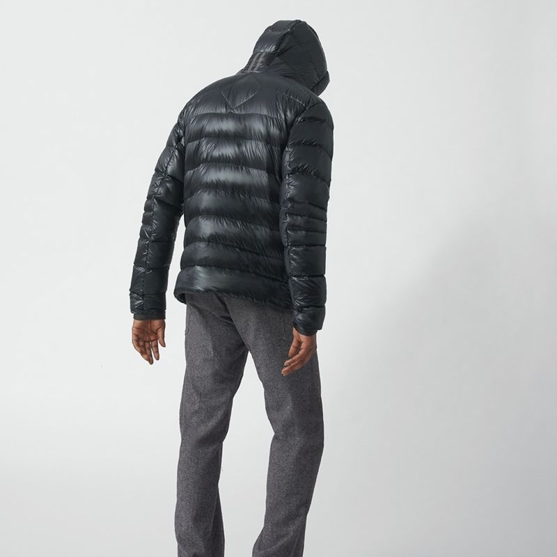 Photo 21374241