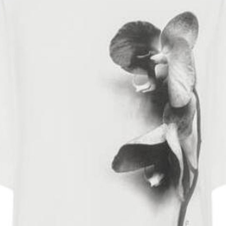 Photo 21233352