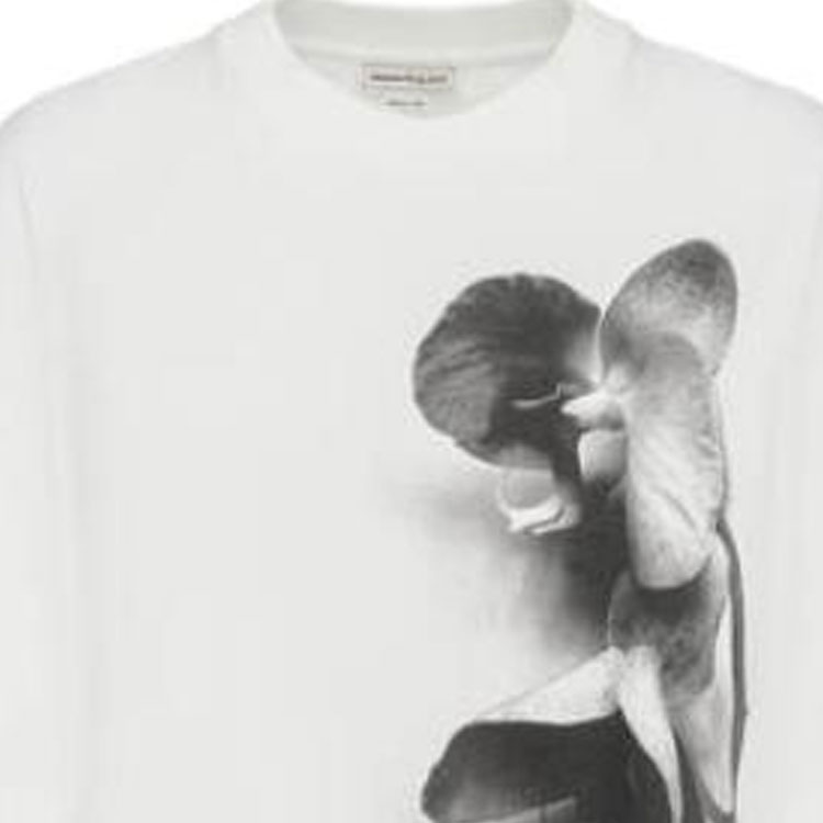 Photo 21233353