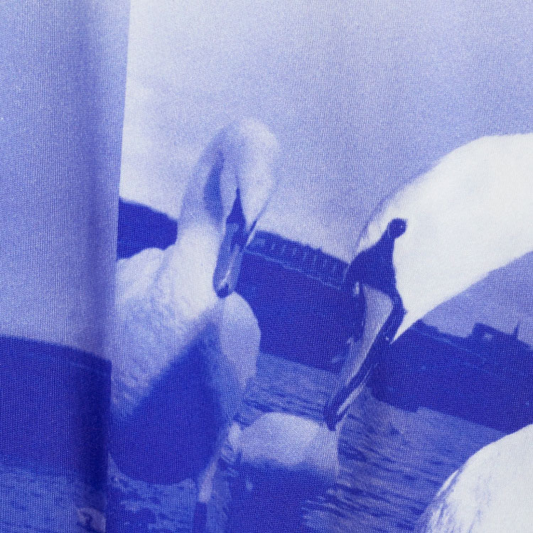 Photo 22241509