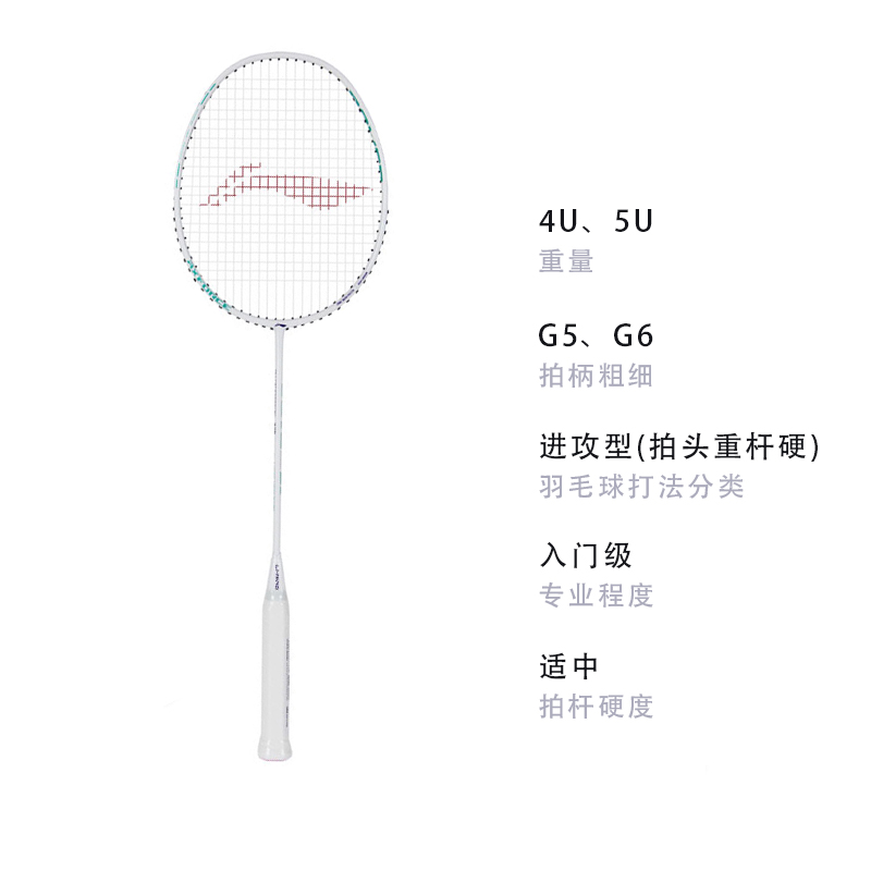 Li Ning Thunder 10 Full Carbon Badminton Rackets Offensive Type Heavy Head, Stiff Shaft Entry level 675mm Single Racket