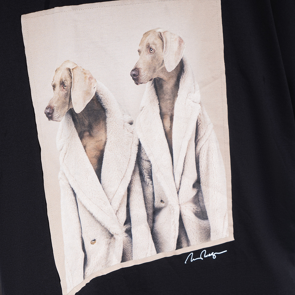 Photo 22360672