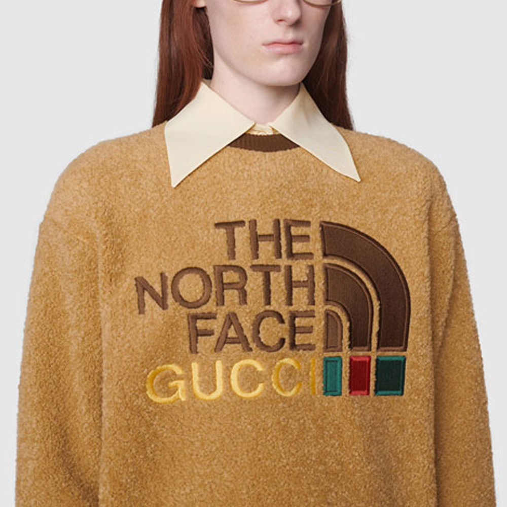 Женское худи Gucci x THE NORTH FACE (коричневое) — фото 6
