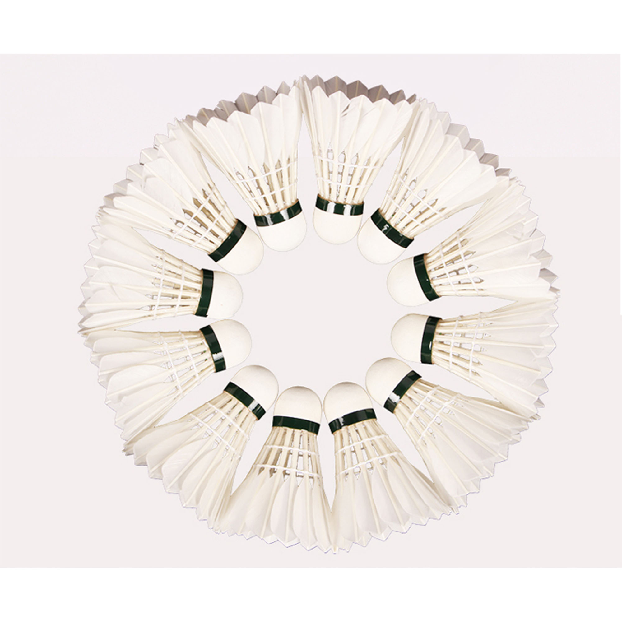 YONEX AS50 Goose Feather Shuttlecock 12 Pack Goose Feather Match Ball Shuttlecocks