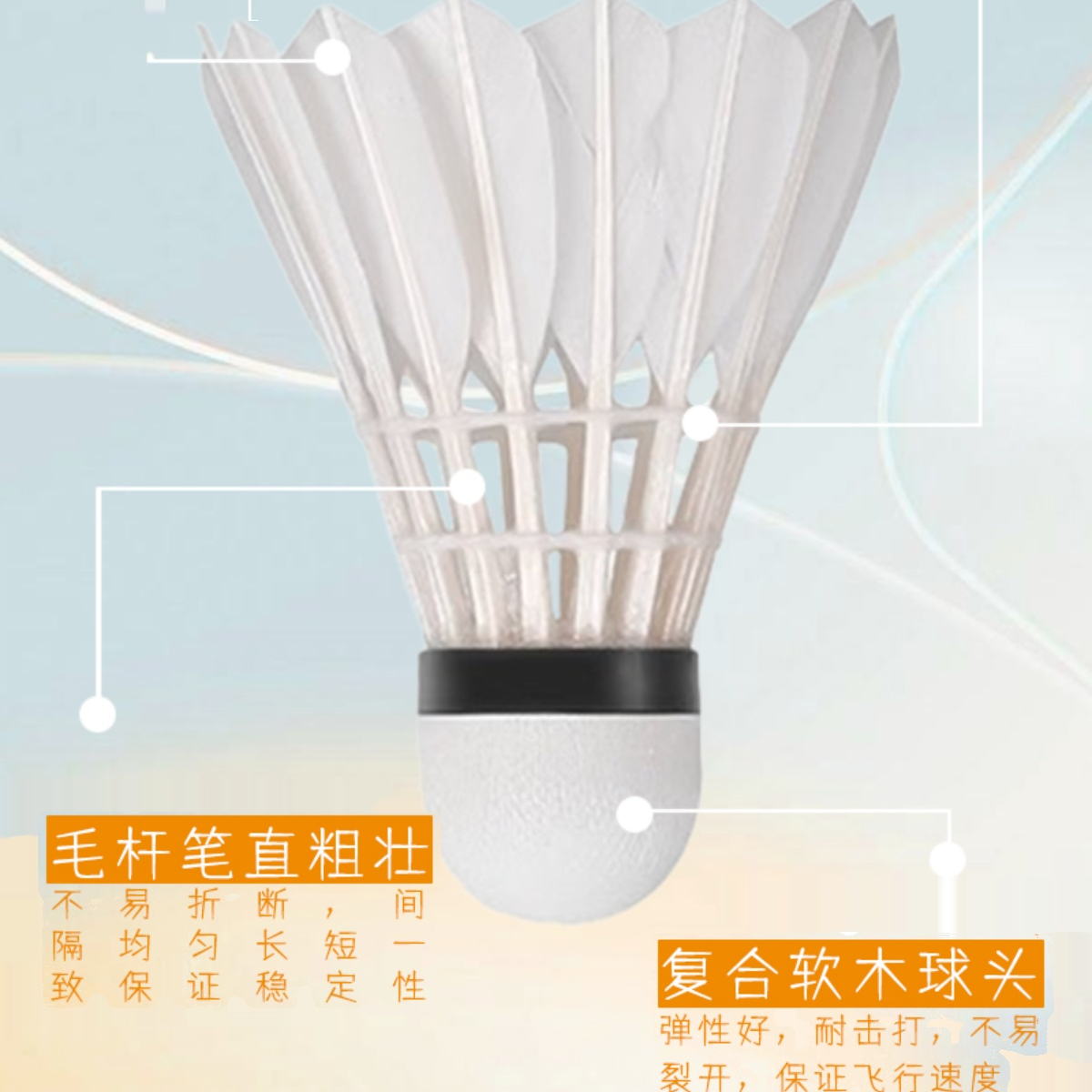 Li Ning Kaiser K Collection KS10 Duck Feather Shuttlecock 12 Pack Muscovy Duck Feather Match Ball Shuttlecocks