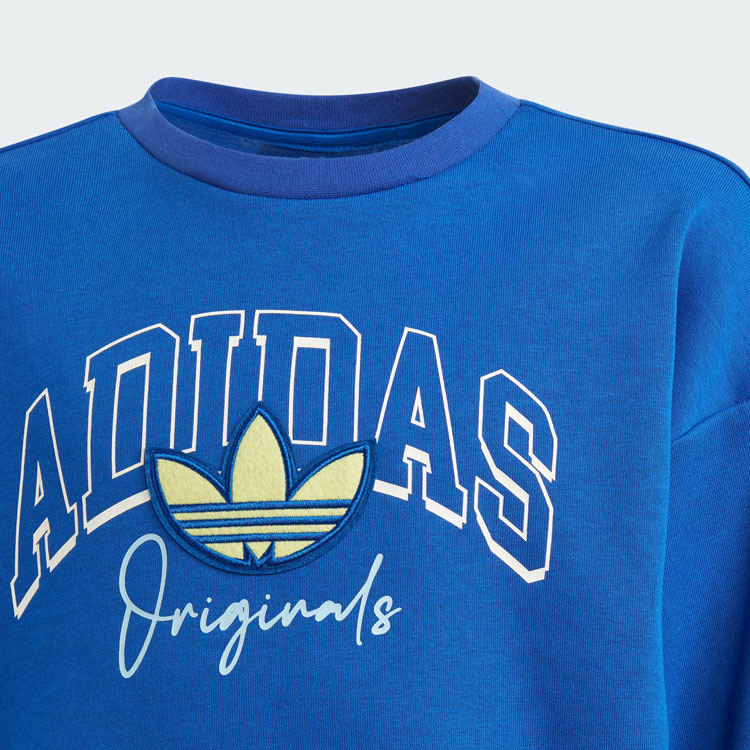Детское худи adidas originals Collegiate Graphic Pack Crew Logo (синее) — фото 3