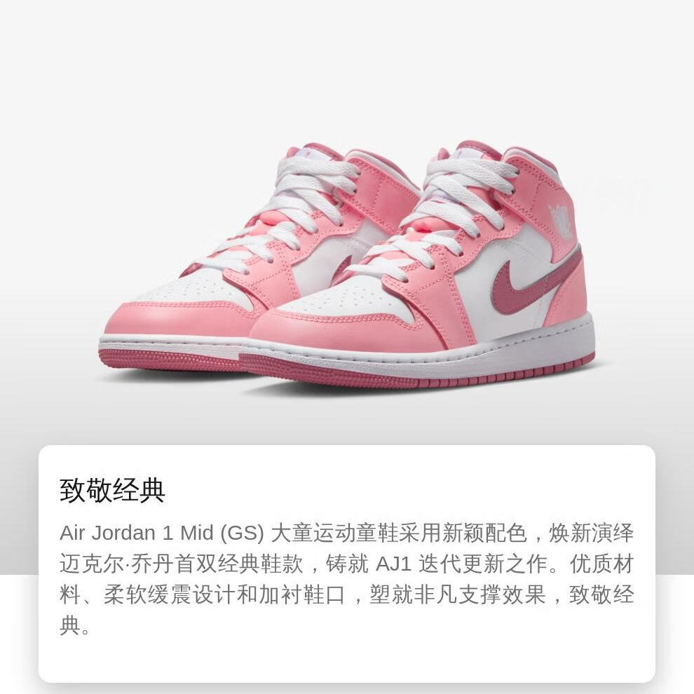 Jordan Air Jordan 1 Mid GS