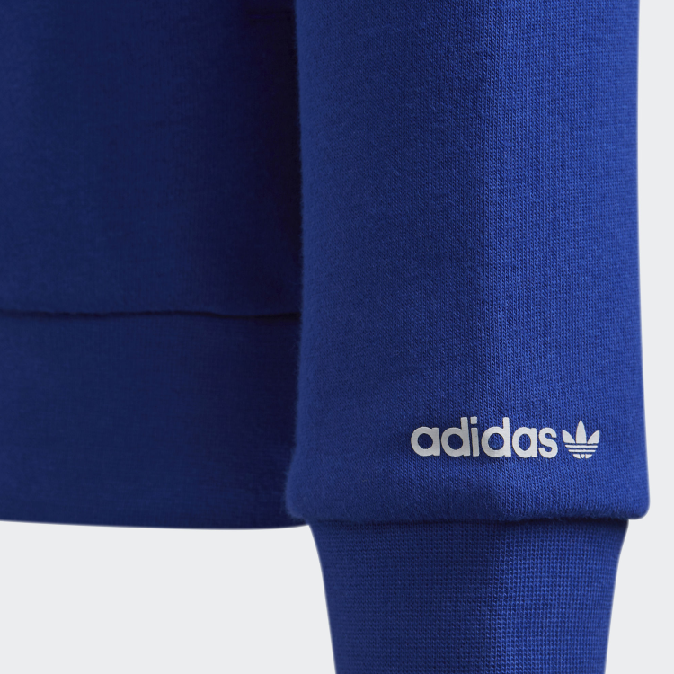 Мужская худи adidas Originals Adicolor (разноцветный) — фото 3