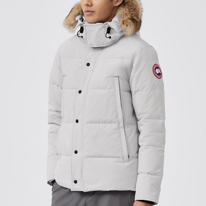 Мужские куртка Canada Goose Wyndham (серая / серебряная береза) — фото 4