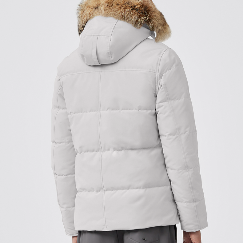 Мужские куртка Canada Goose Wyndham (серая / серебряная береза) — фото 3