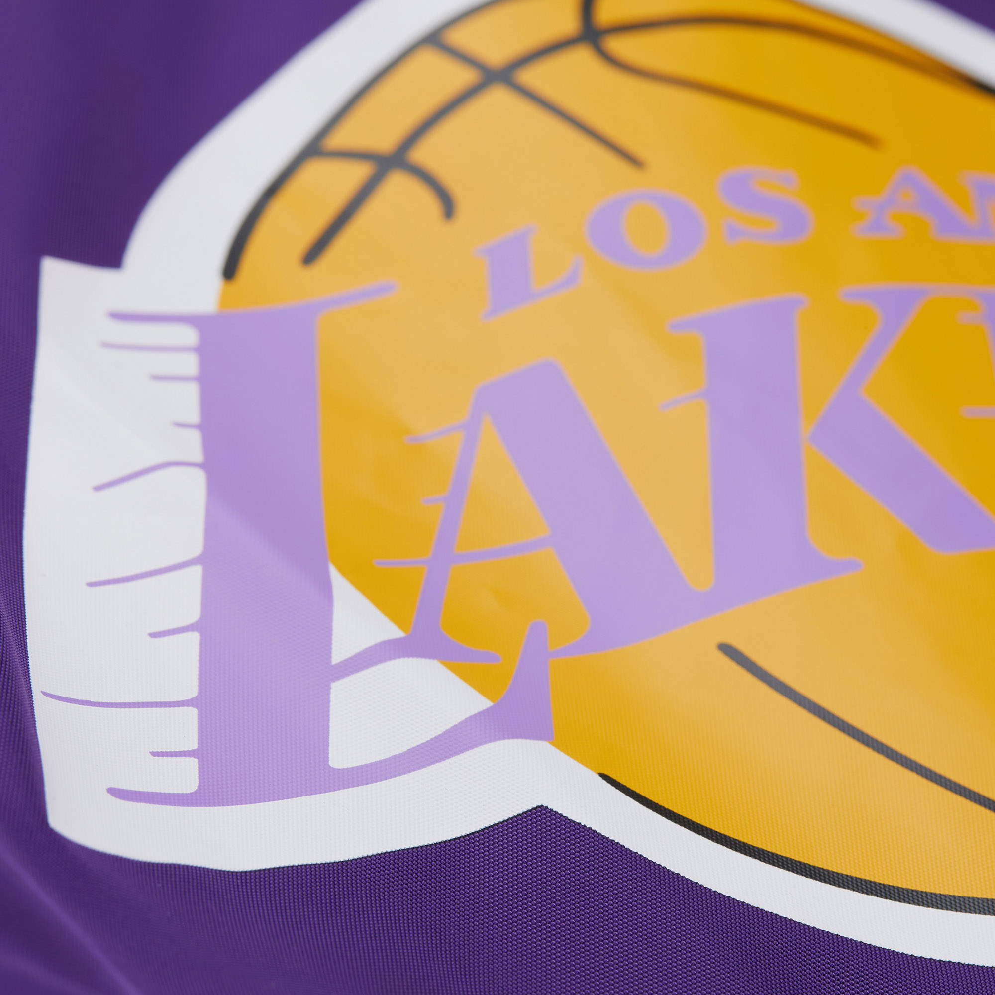 Mitchell Ness x NBA Los Angeles Lakers Sports Shorts Women’s Purple