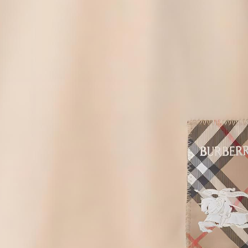 Мужская футболка Burberry Plaid Label Long Sleeve (белая) — фото 5