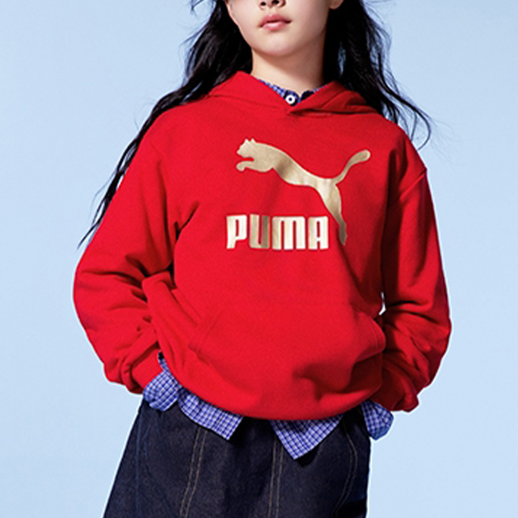 Худи PUMA Sportstyle (синее) — фото 3