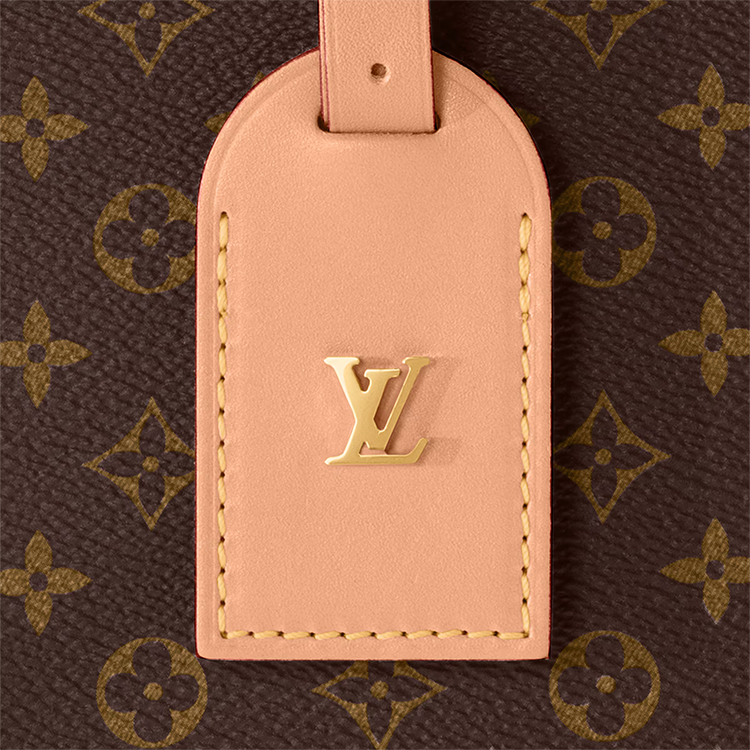 Женские сумка Louis Vuitton LOUIS VUITTON Petite Boite Chapeau (коричневый) — фото 6