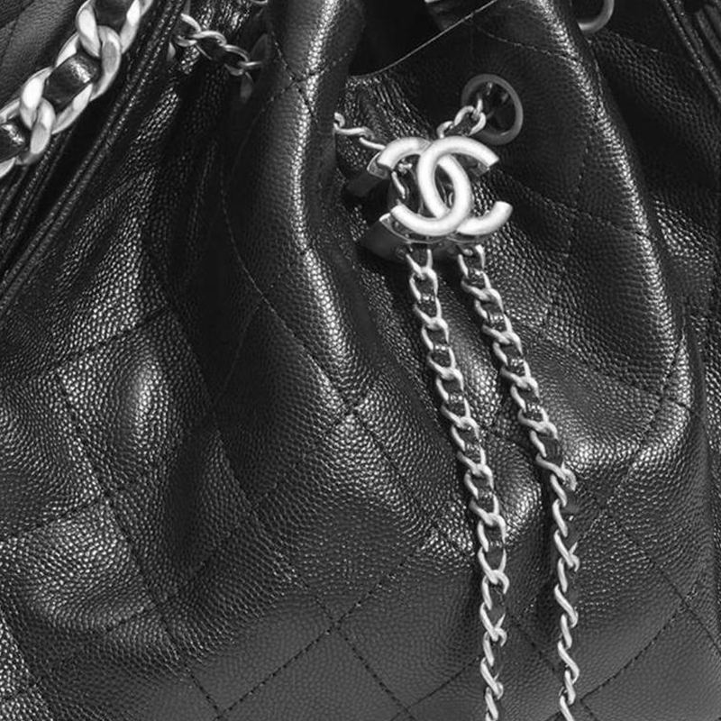 Женская сумка Chanel 25Bag 26C C Logo (черный) — фото 5