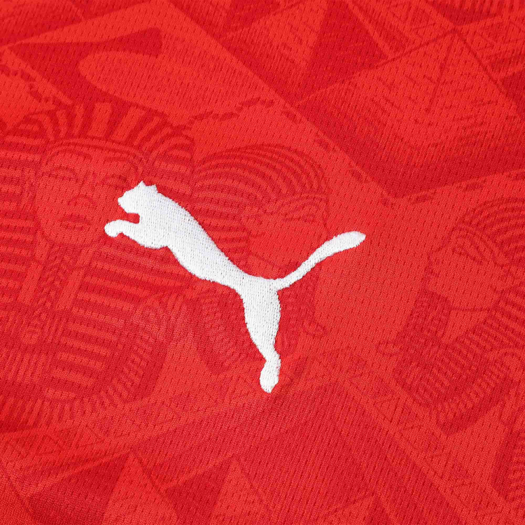 PUMA Playera Local Egipto 2025 Para Hombre
