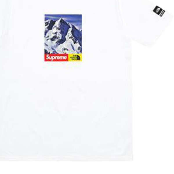 Футболка Supreme FW17 T (белая) — фото 2