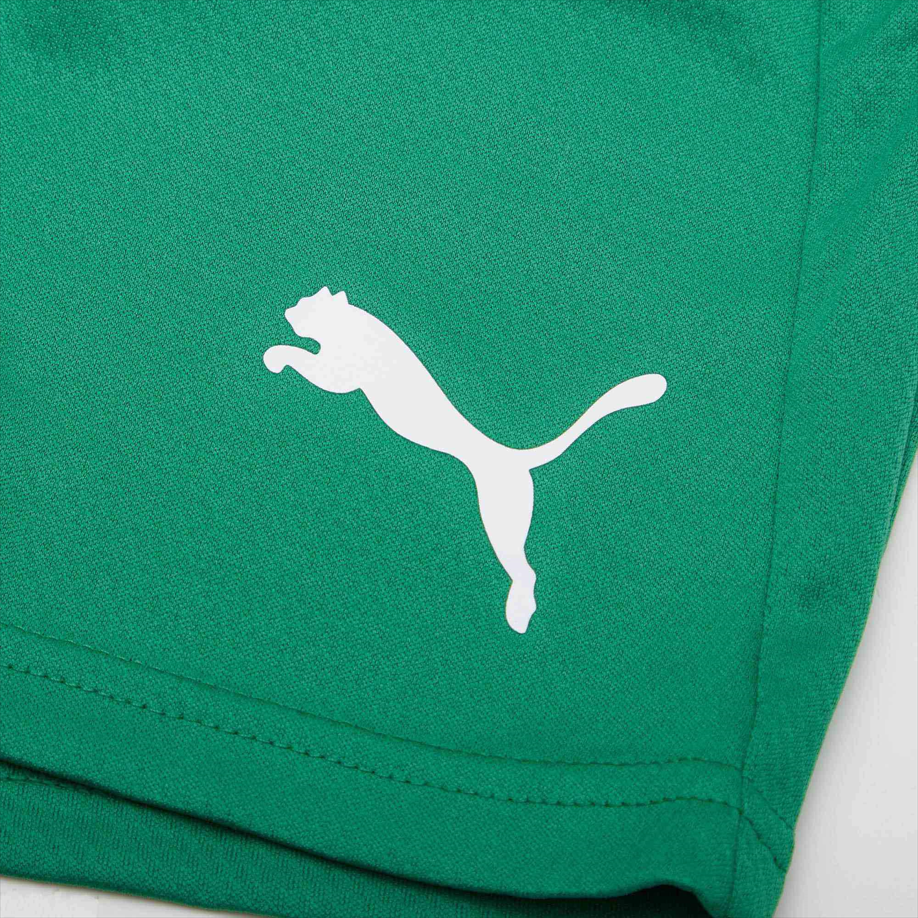PUMA Sports Shorts Unisex Green Moderate