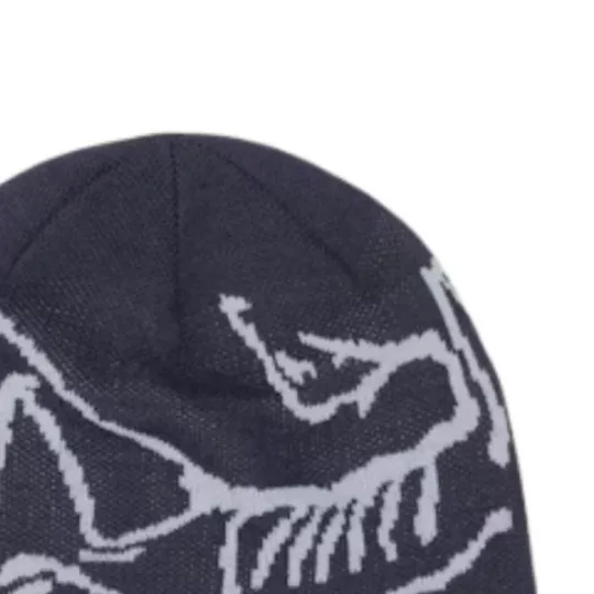 Arc'teryx Bird Head Toque Beanie Black/Void